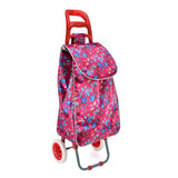 ?HGRQ336-FUSHIA New fashion travel bag with wheels