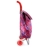 ?HGRQ336-FUSHIA New fashion travel bag with wheels