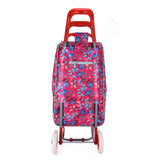?HGRQ336-FUSHIA New fashion travel bag with wheels