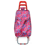 ?HGRQ336-FUSHIA New fashion travel bag with wheels