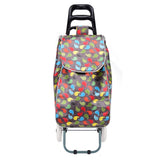 HGRQ337 GREY - Assorted Colors - Cartoon Chick Pattern Print Trolley Bag