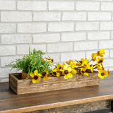 Freesia Planter Candle Box Large